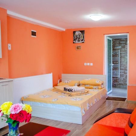Danailovi Guest House 사파레바바냐 외부 사진