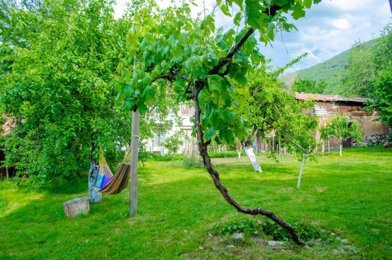 Danailovi Guest House 사파레바바냐 외부 사진
